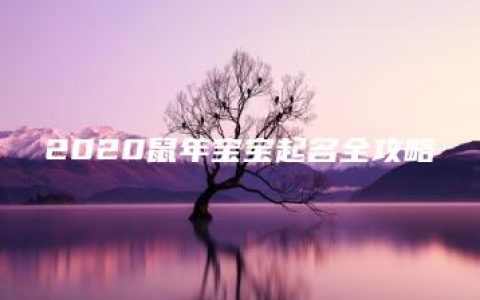 2020鼠年宝宝起名全攻略