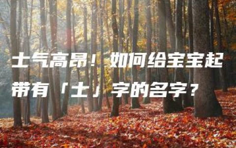 士气高昂！如何给宝宝起带有「士」字的名字？