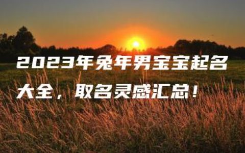 2023年兔年男宝宝起名大全，取名灵感汇总！