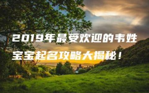 2019年最受欢迎的韦姓宝宝起名攻略大揭秘！