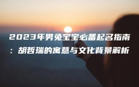 2023年男兔宝宝必备起名指南：胡哲瑞的寓意与文化背景解析