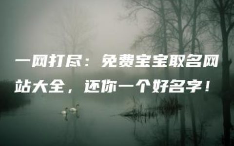 一网打尽：免费宝宝取名网站大全，还你一个好名字！