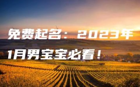 免费起名：2023年1月男宝宝必看！