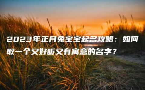 2023年正月兔宝宝起名攻略：如何取一个又好听又有寓意的名字？