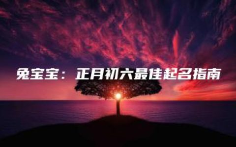 兔宝宝：正月初六最佳起名指南