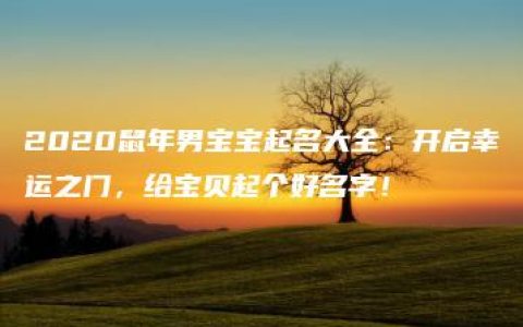 2020鼠年男宝宝起名大全：开启幸运之门，给宝贝起个好名字！