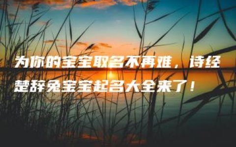 为你的宝宝取名不再难，诗经楚辞兔宝宝起名大全来了！