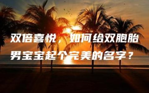 双倍喜悦，如何给双胞胎男宝宝起个完美的名字？