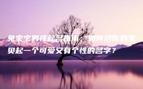 兔宝宝男孩起名指南：如何给你的宝贝起一个可爱又有个性的名字？