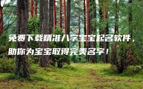 免费下载精准八字宝宝起名软件，助你为宝宝取得完美名字！