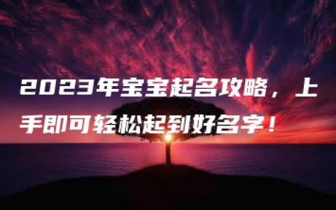 2023年宝宝起名攻略，上手即可轻松起到好名字！