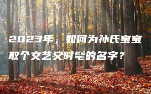 2023年，如何为孙氏宝宝取个文艺又时髦的名字？