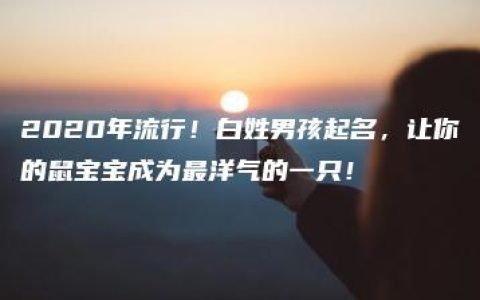 2020年流行！白姓男孩起名，让你的鼠宝宝成为最洋气的一只！