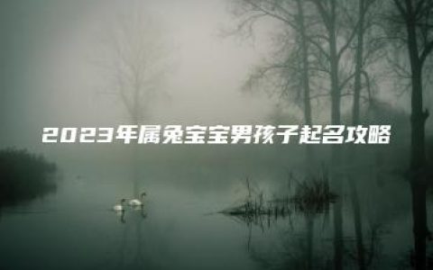 2023年属兔宝宝男孩子起名攻略