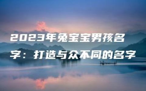 2023年兔宝宝男孩名字：打造与众不同的名字