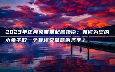 2023年正月兔宝宝起名指南：如何为您的小兔子取一个有趣又寓意的名字？