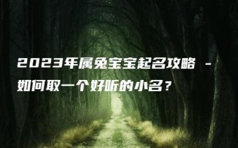 2023年属兔宝宝起名攻略 - 如何取一个好听的小名？