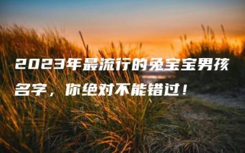 2023年最流行的兔宝宝男孩名字，你绝对不能错过！