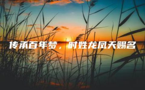 传承百年梦，时姓龙凤天赐名