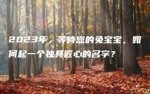 2023年，等待您的兔宝宝，如何起一个独具匠心的名字？