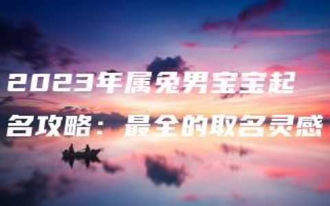 2023年属兔男宝宝起名攻略：最全的取名灵感