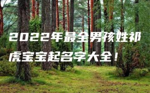 2022年最全男孩姓祁虎宝宝起名字大全！