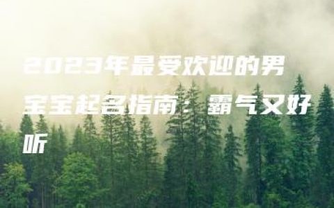 2023年最受欢迎的男宝宝起名指南：霸气又好听