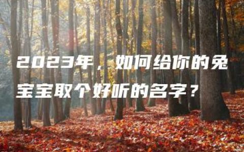 2023年，如何给你的兔宝宝取个好听的名字？