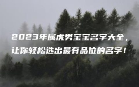 2023年属虎男宝宝名字大全，让你轻松选出最有品位的名字！