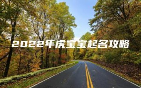 2022年虎宝宝起名攻略