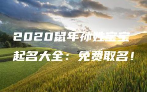 2020鼠年孙姓宝宝起名大全：免费取名！