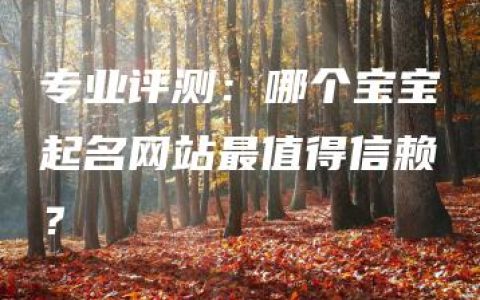 专业评测：哪个宝宝起名网站最值得信赖？