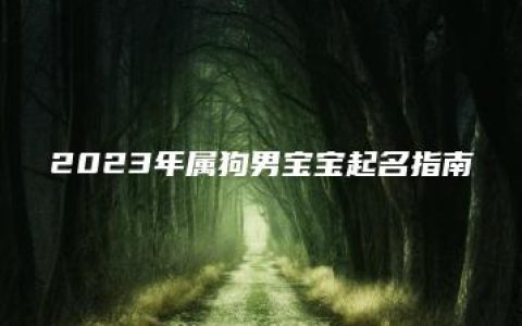 2023年属狗男宝宝起名指南