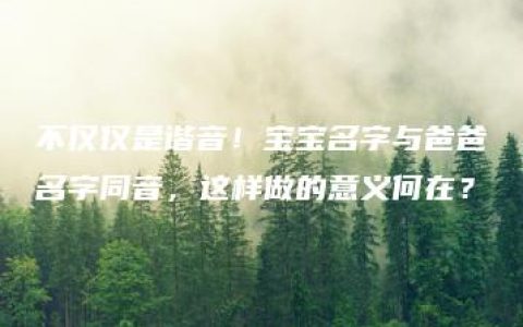 不仅仅是谐音！宝宝名字与爸爸名字同音，这样做的意义何在？