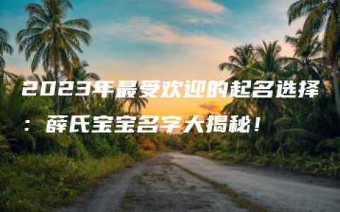 2023年最受欢迎的起名选择：薛氏宝宝名字大揭秘！