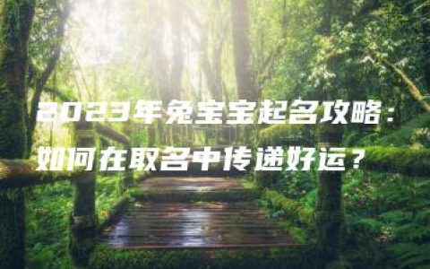 2023年兔宝宝起名攻略：如何在取名中传递好运？