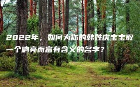 2022年，如何为你的韩姓虎宝宝取一个响亮而富有含义的名字？