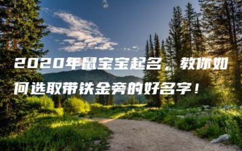 2020年鼠宝宝起名，教你如何选取带铁金旁的好名字！