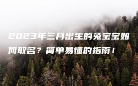 2023年三月出生的兔宝宝如何取名？简单易懂的指南！