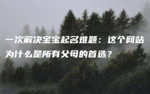 一次解决宝宝起名难题：这个网站为什么是所有父母的首选？