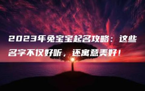 2023年兔宝宝起名攻略：这些名字不仅好听，还寓意美好！