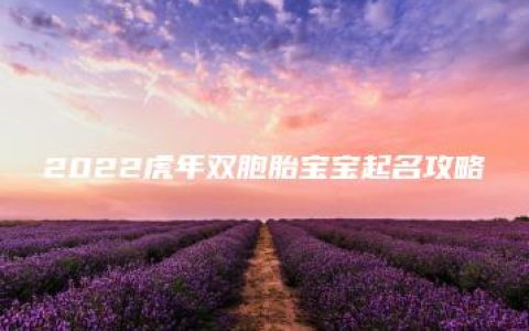 2022虎年双胞胎宝宝起名攻略