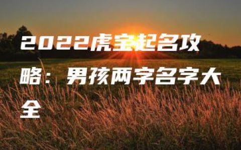 2022虎宝起名攻略：男孩两字名字大全