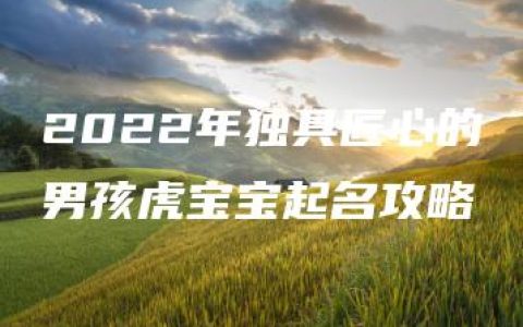 2022年独具匠心的男孩虎宝宝起名攻略