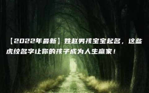 【2022年最新】姓赵男孩宝宝起名，这些虎纹名字让你的孩子成为人生赢家！