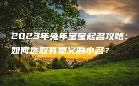 2023年兔年宝宝起名攻略：如何选取有意义的小名？