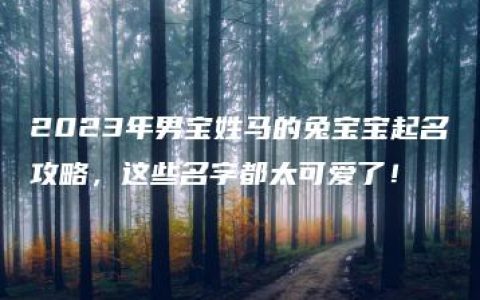 2023年男宝姓马的兔宝宝起名攻略，这些名字都太可爱了！