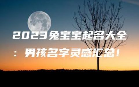 2023兔宝宝起名大全：男孩名字灵感汇总！