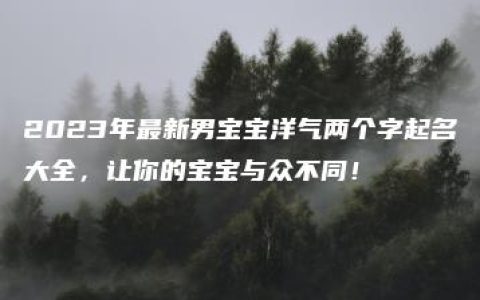 2023年最新男宝宝洋气两个字起名大全，让你的宝宝与众不同！