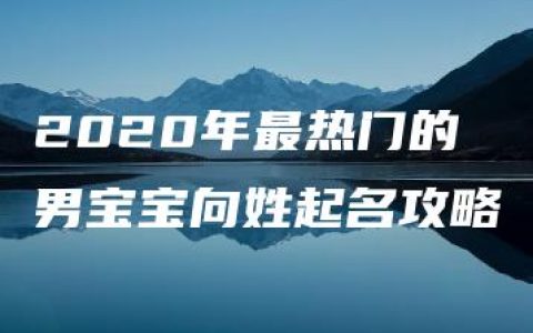 2020年最热门的男宝宝向姓起名攻略